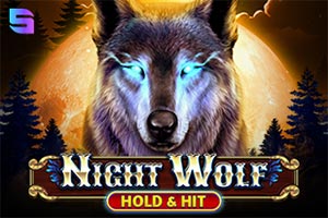 Night Wolf - Hold & Hit